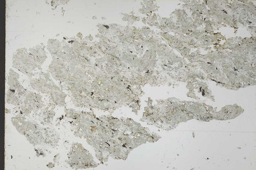 Plane Polarized, S53272