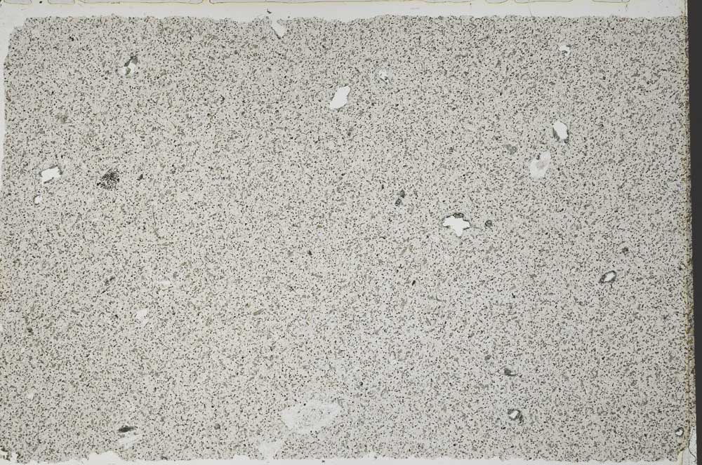Plane Polarized, S53326