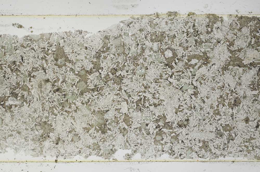 Plane Polarized, S53334