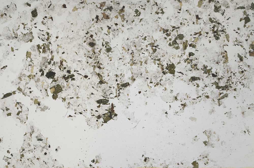 Plane Polarized, S53385/A
