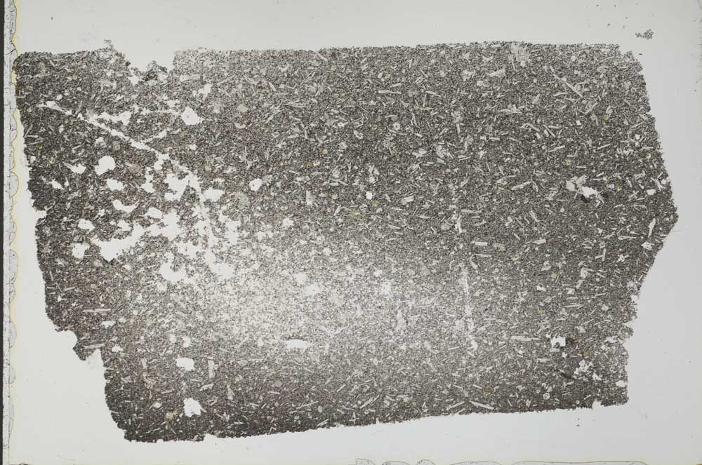 Plane Polarized, S53447