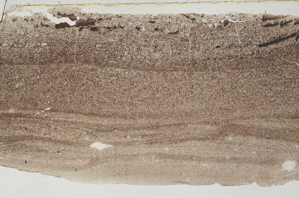 Plane Polarized, S53463