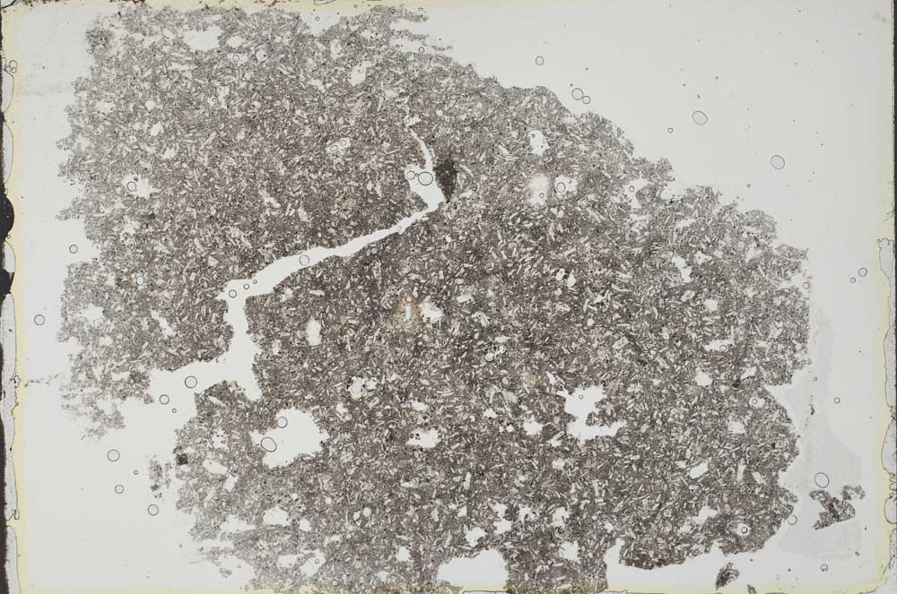 Plane Polarized, S53471