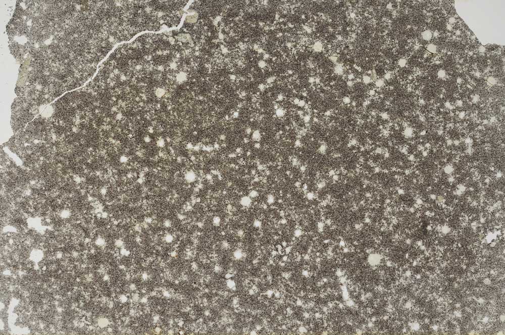 Plane Polarized, S53504