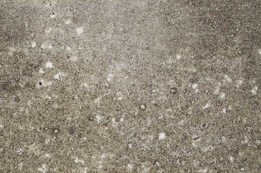 Plane Polarized, S53537