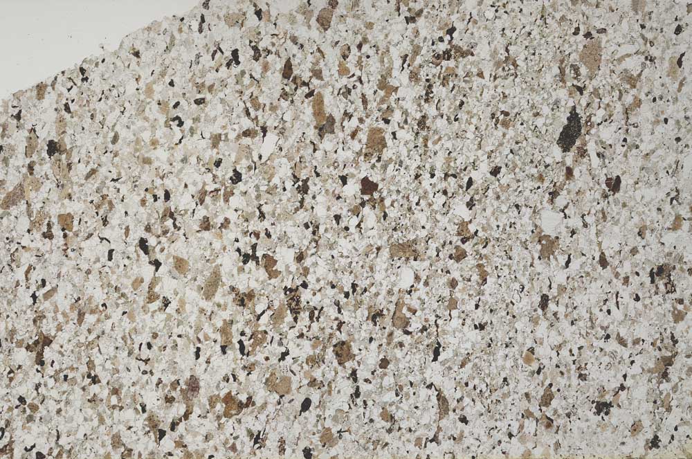 Plane Polarized, S53562