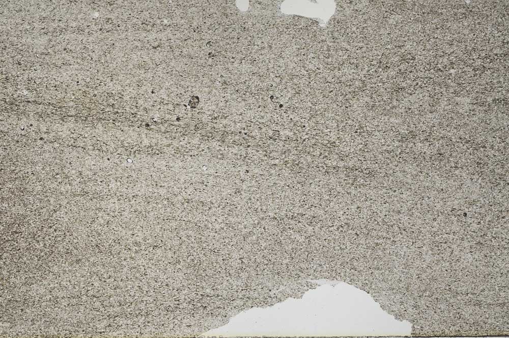 Plane Polarized, S53564