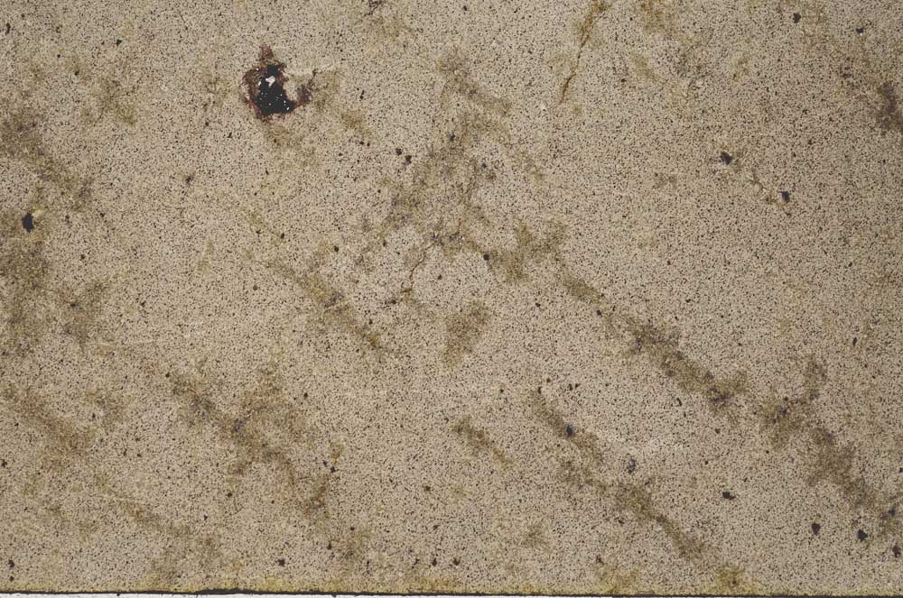 Plane Polarized, S53565