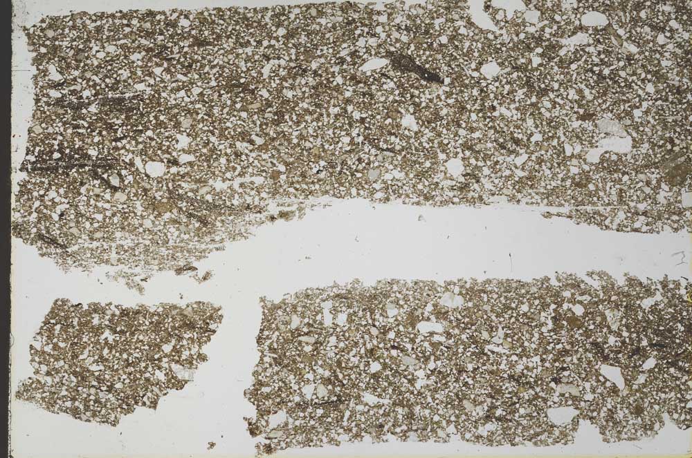 Plane Polarized, S53649