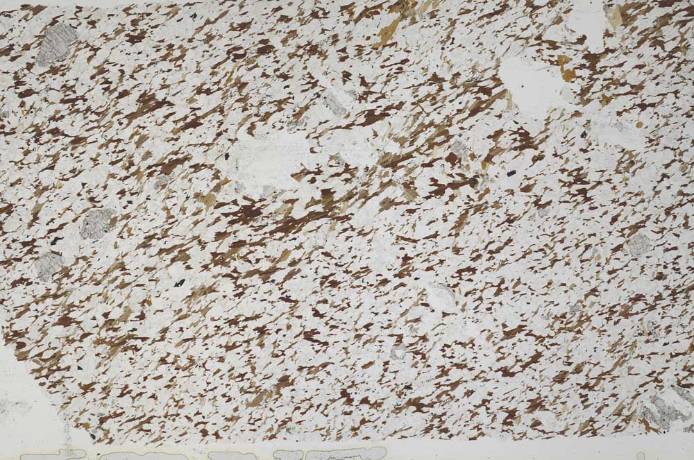 Plane Polarized, S53677