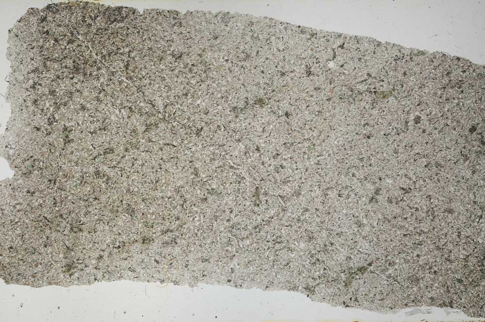 Plane Polarized, S53679