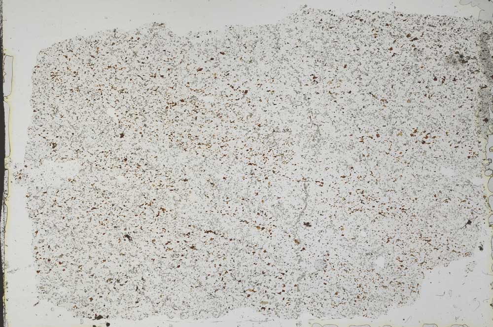 Plane Polarized, S53694