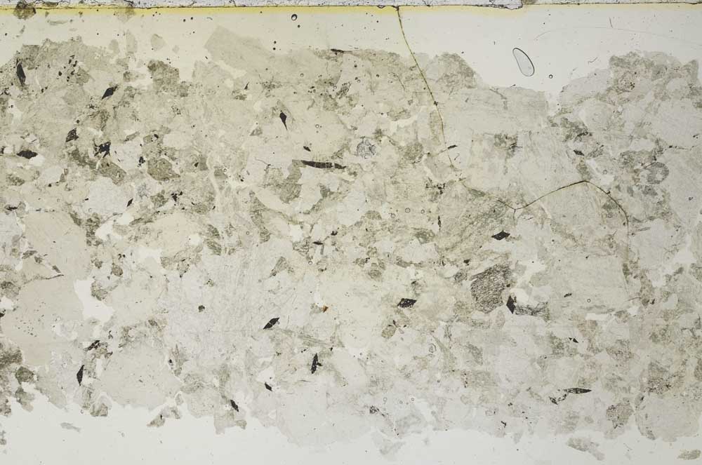 Plane Polarized, S53700/A