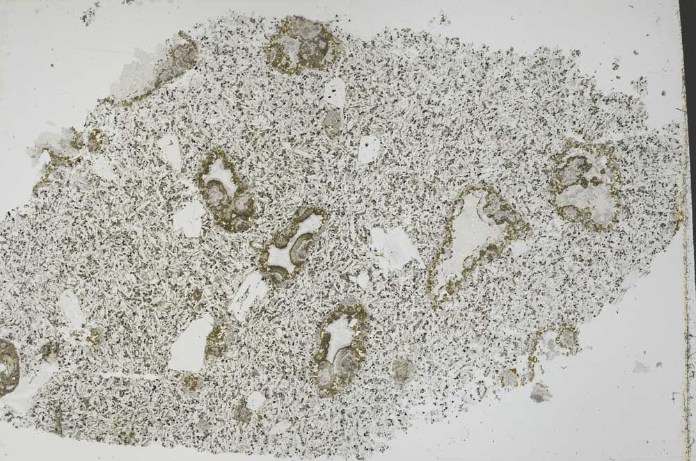 Plane Polarized, S53710