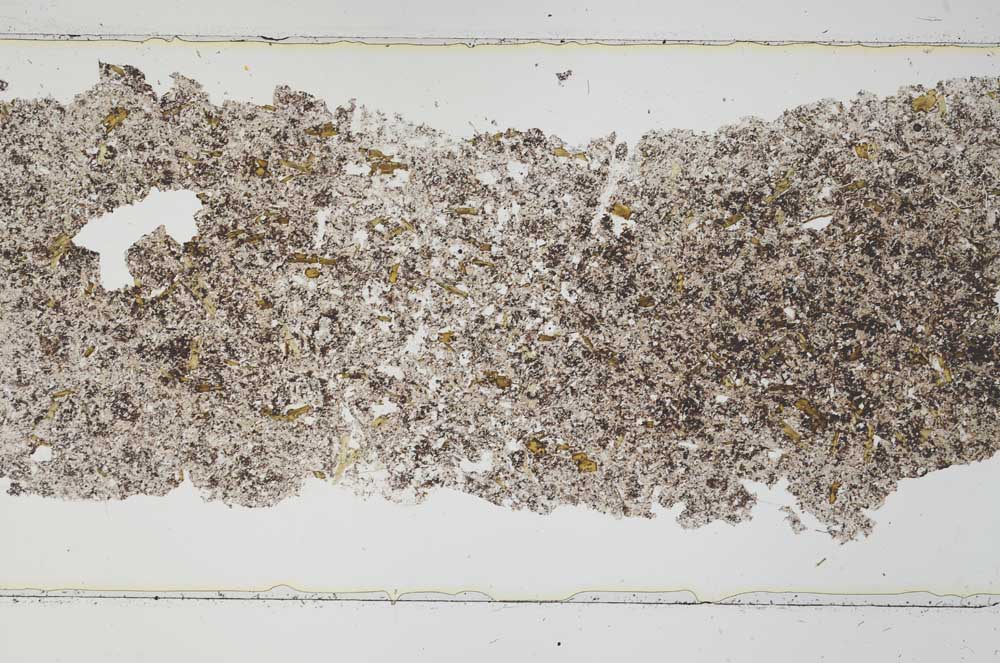 Plane Polarized, S53725