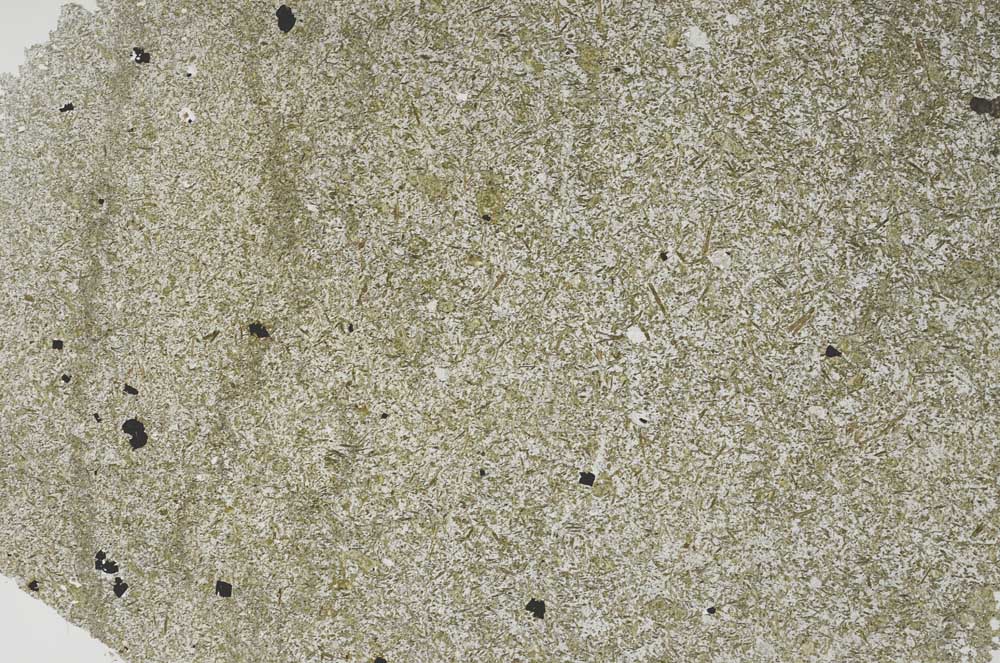 Plane Polarized, S53781