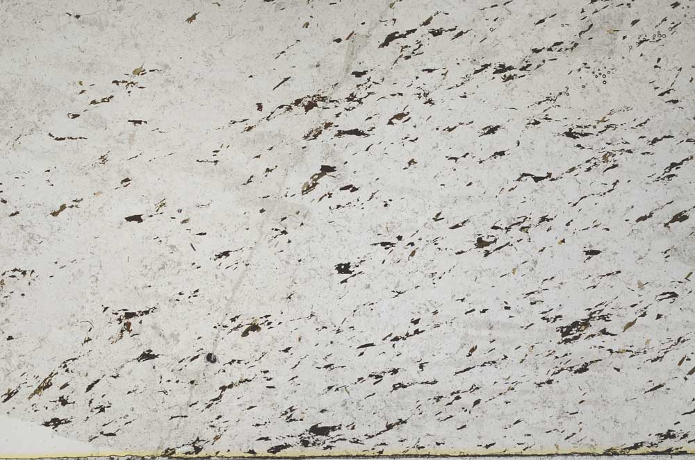 Plane Polarized, S53803