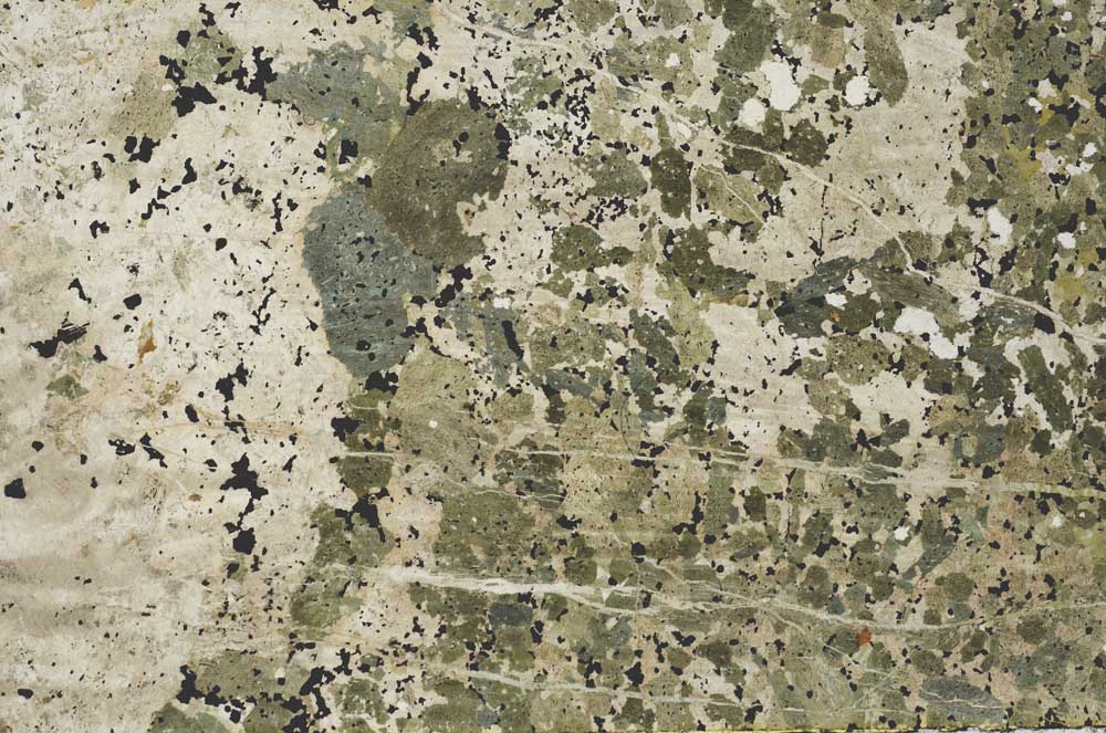 Plane Polarized, S53838