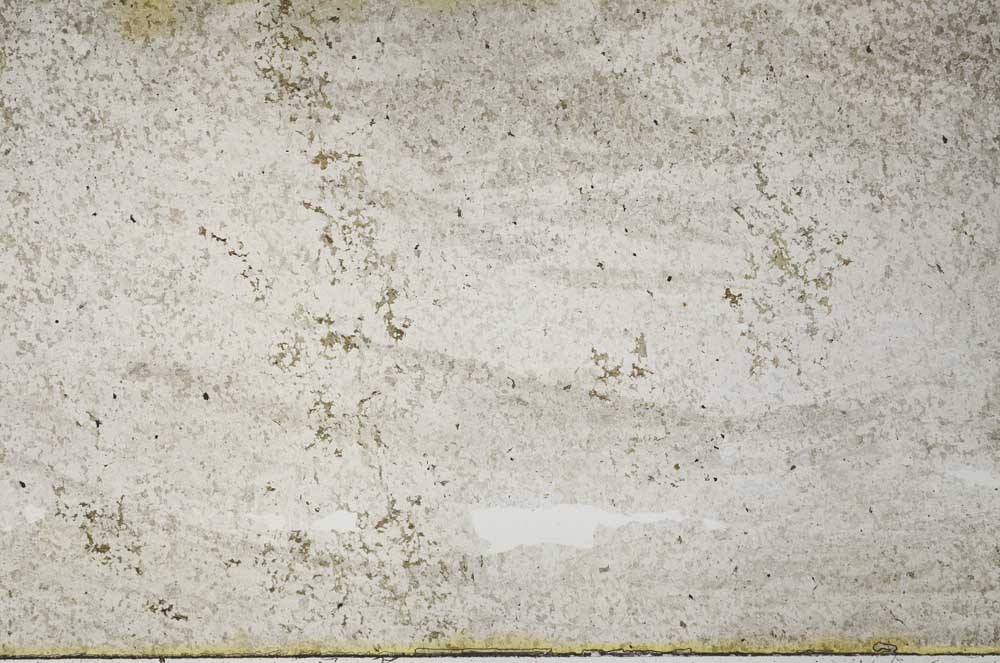 Plane Polarized, S53863