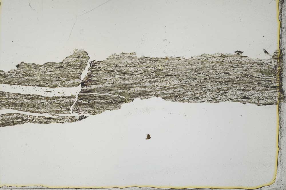 Plane Polarized, S53894