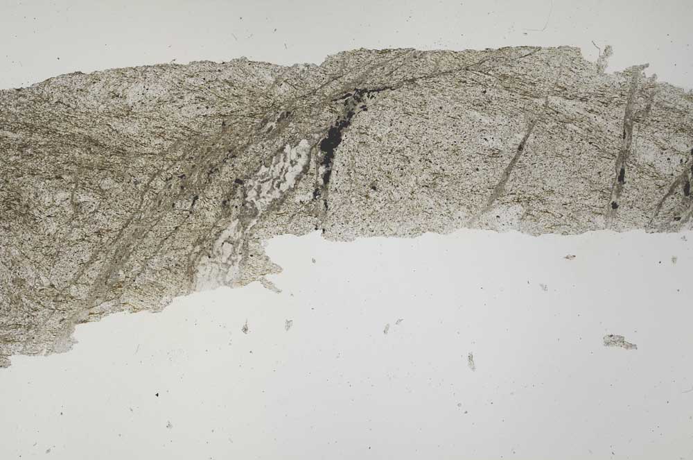 Plane Polarized, S53910