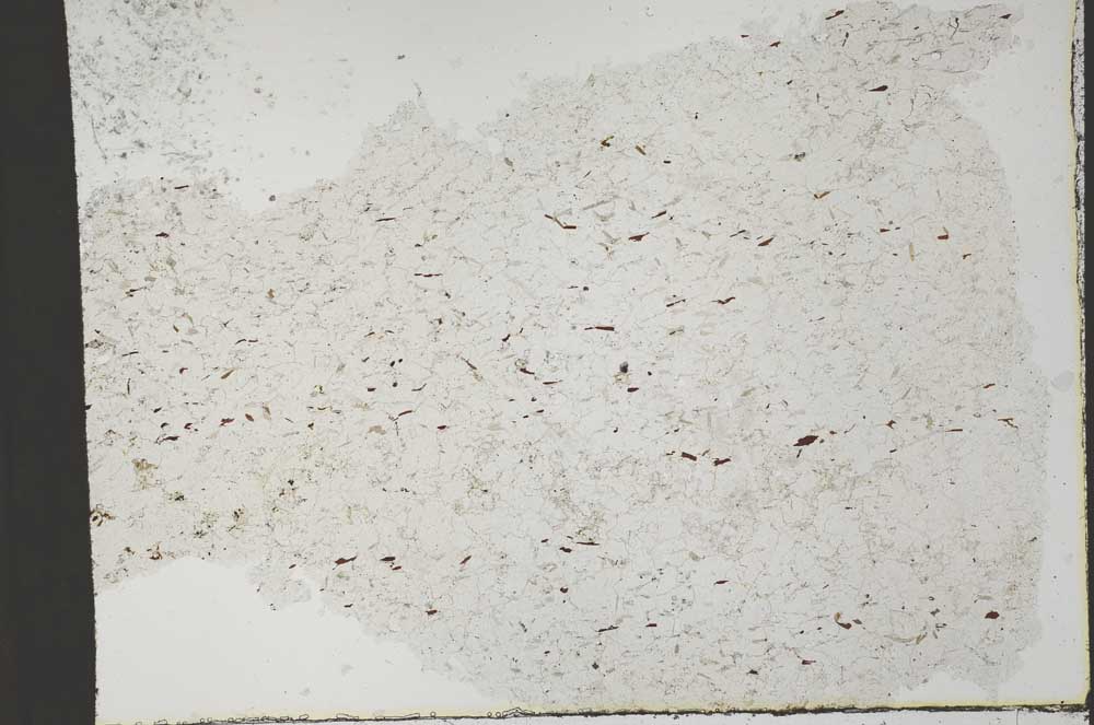 Plane Polarized, S53921