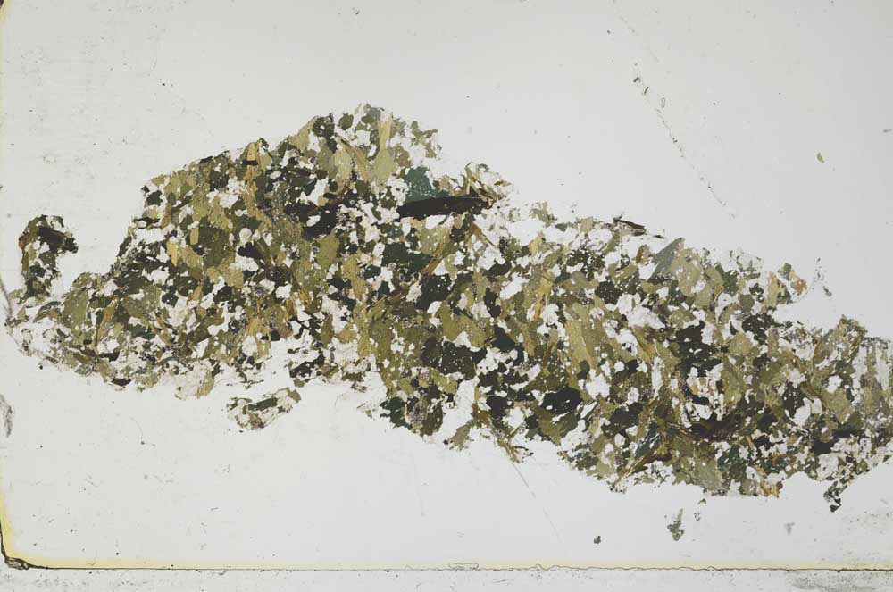 Plane Polarized, S53971