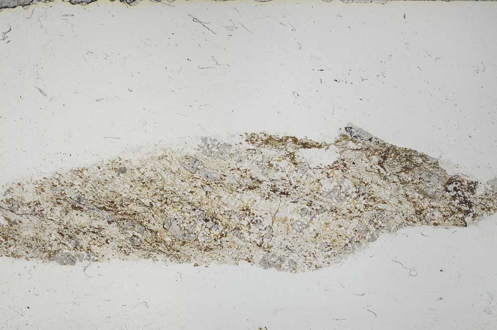 Plane Polarized, S53975