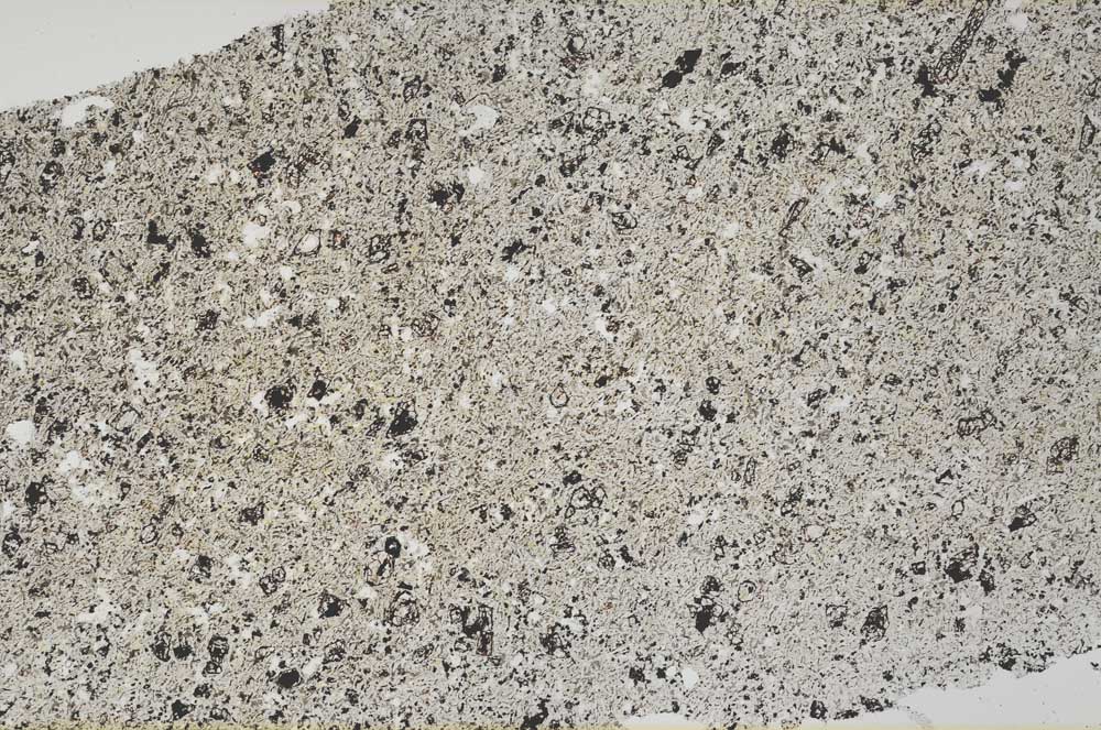 Plane Polarized, S54043