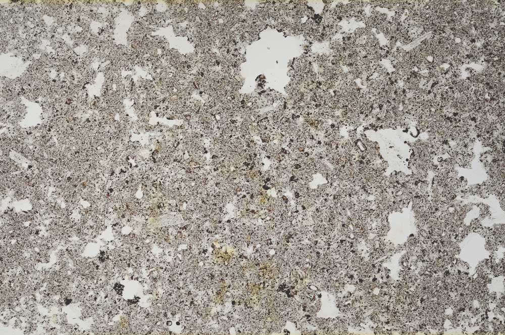 Plane Polarized, S54048