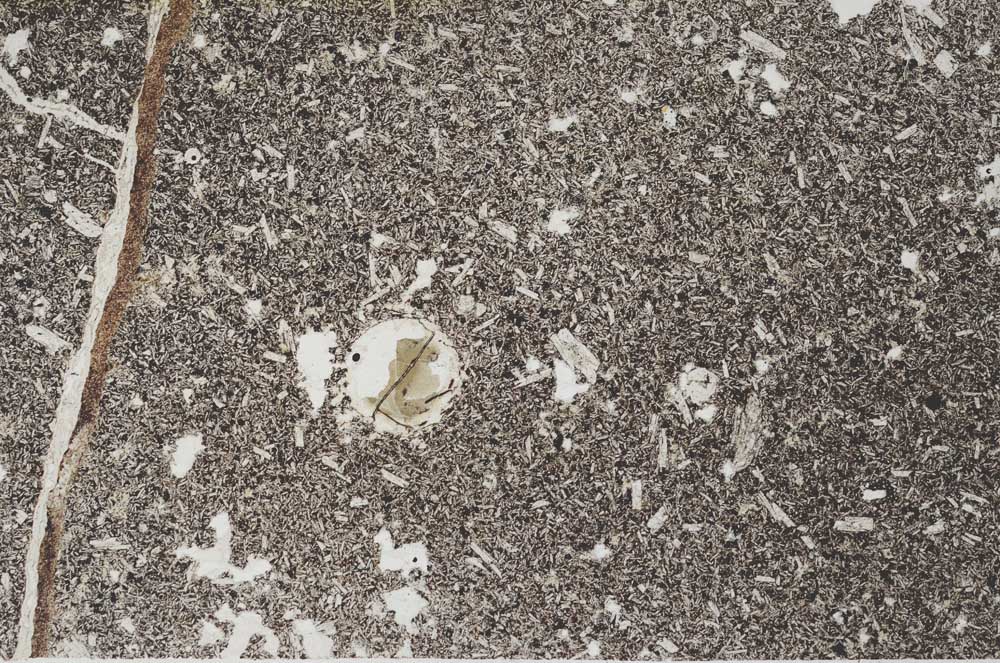 Plane Polarized, S54054