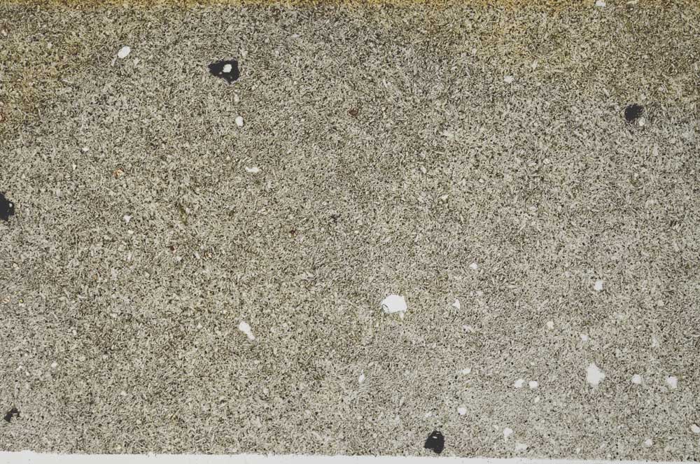 Plane Polarized, S54056