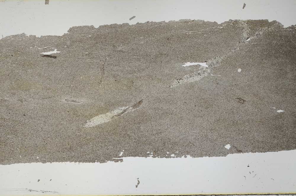 Plane Polarized, S54061