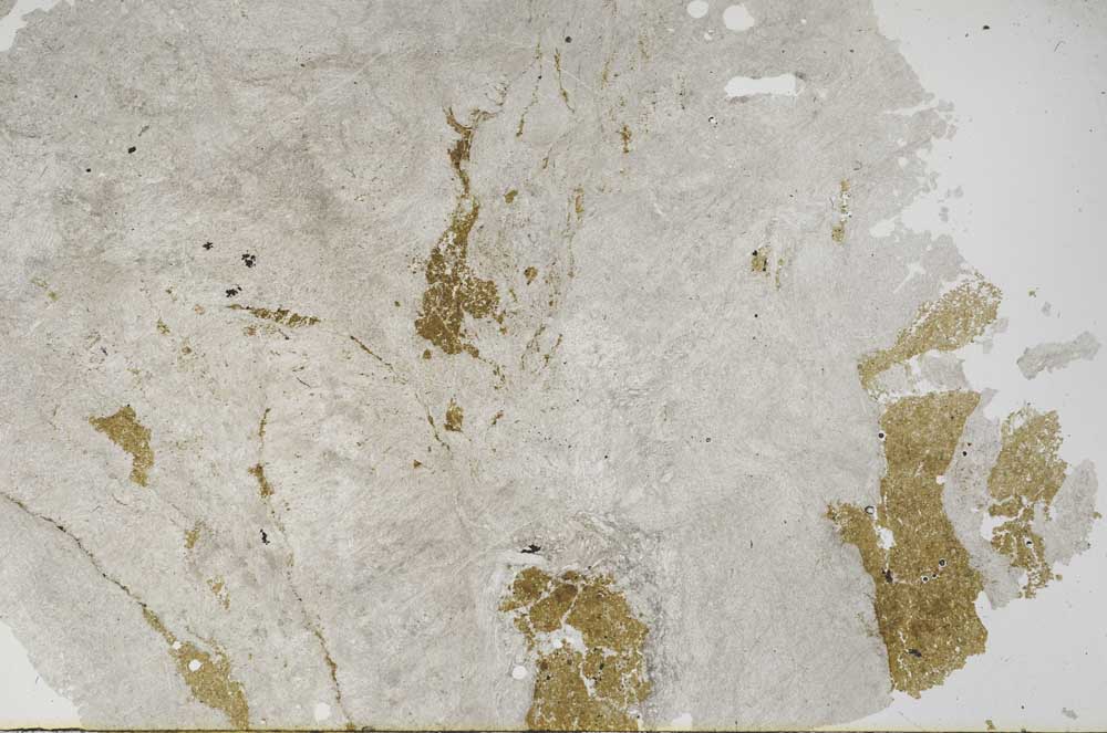 Plane Polarized, S54071