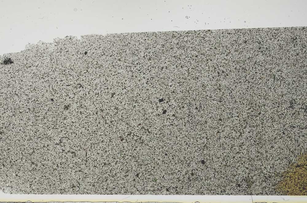 Plane Polarized, S54104