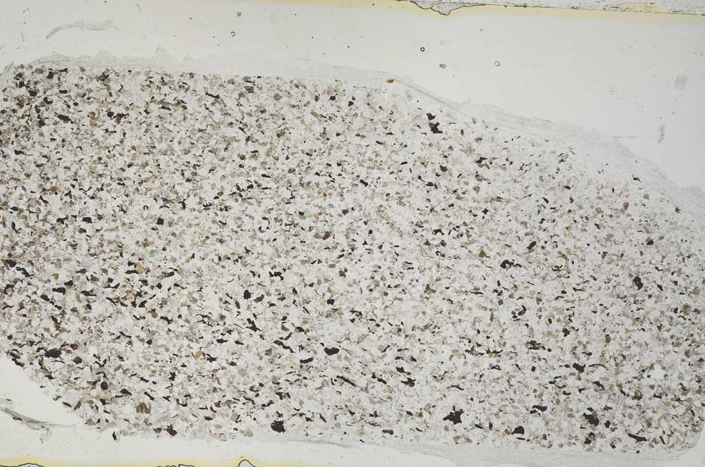 Plane Polarized, S54123