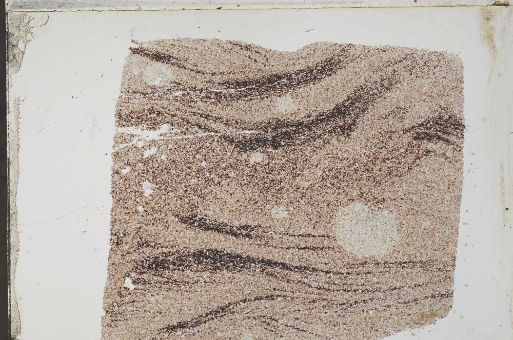 Plane Polarized, S54124