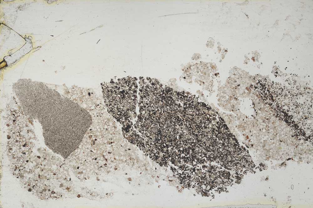 Plane Polarized, S54137