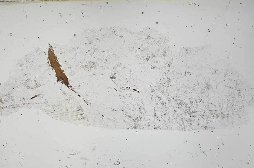Plane Polarized, S54240