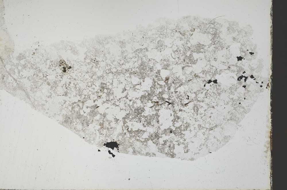 Plane Polarized, S54242