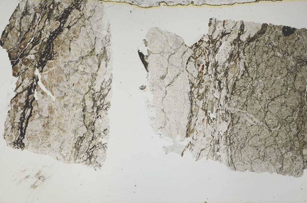 Plane Polarized, S54266