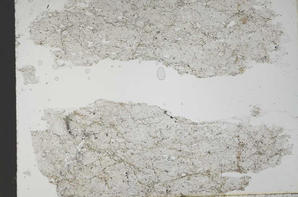 Plane Polarized, S54269