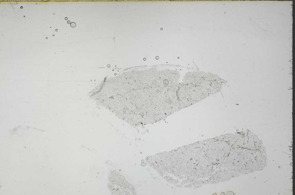 Plane Polarized, S54273