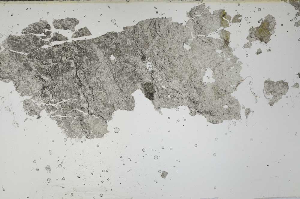 Plane Polarized, S54279
