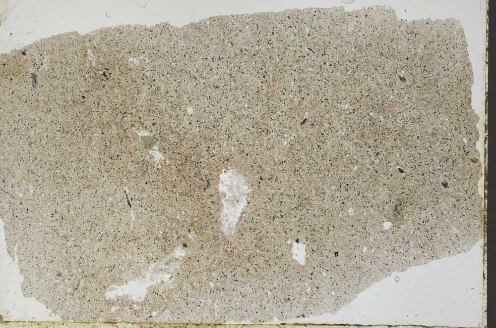 Plane Polarized, S54414