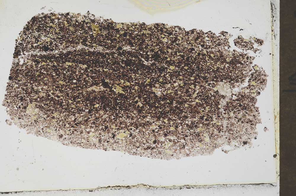 Plane Polarized, S54415