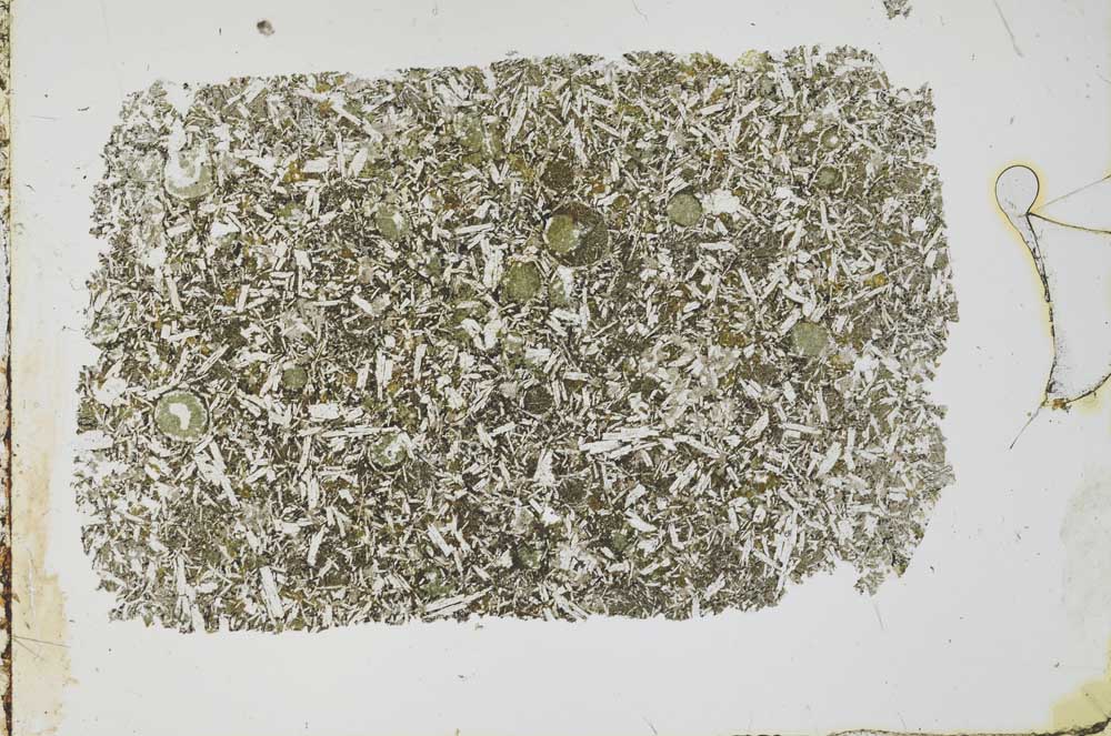 Plane Polarized, S54417