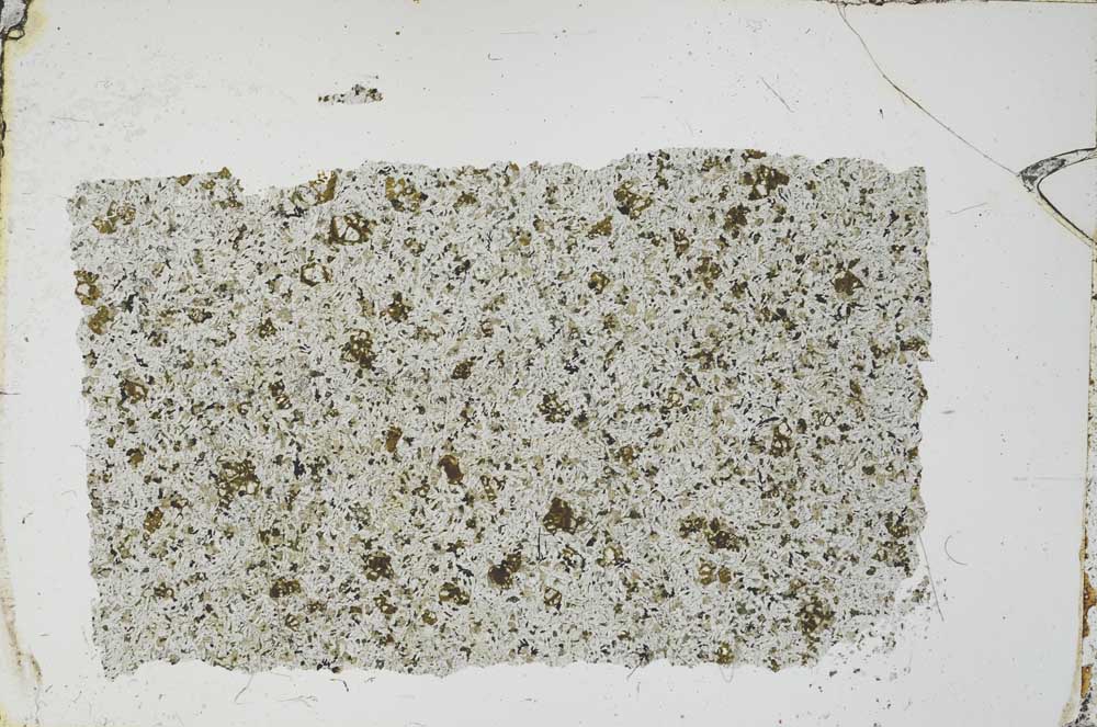 Plane Polarized, S54419