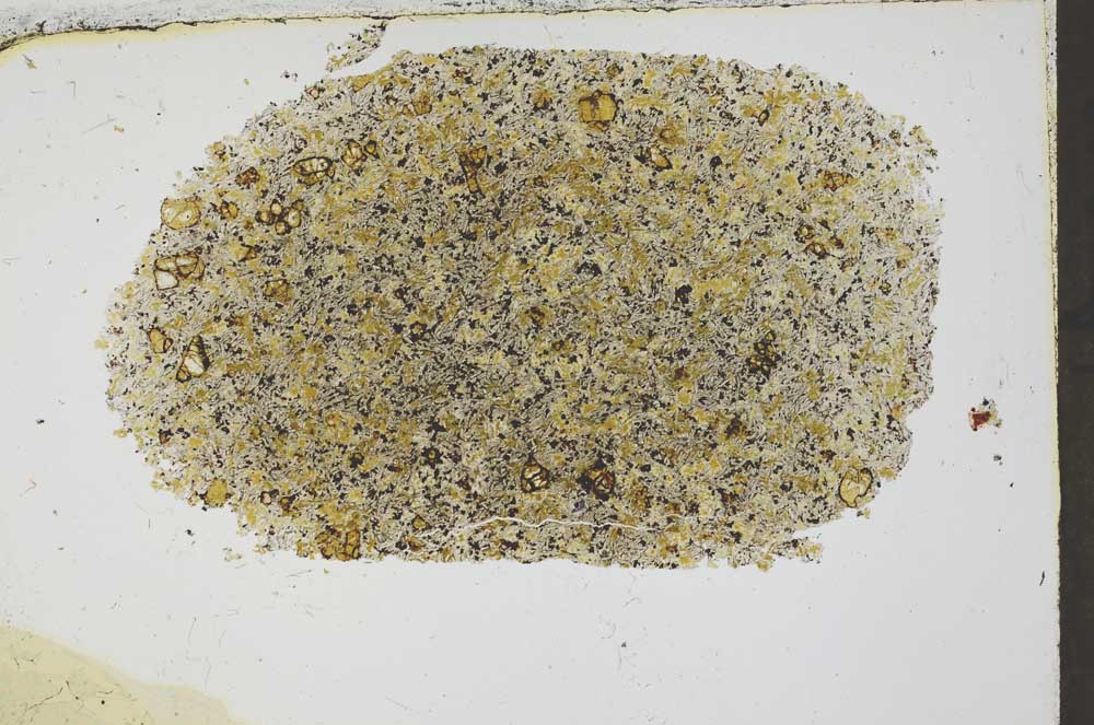 Plane Polarized, S54420