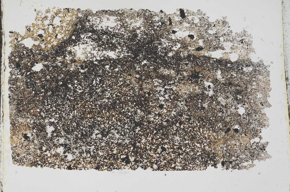 Plane Polarized, S54427